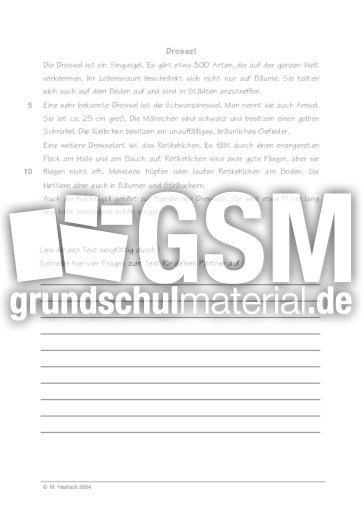 Drossel.pdf